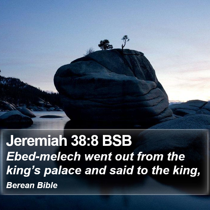 Jeremiah 38:8 BSB Bible Study