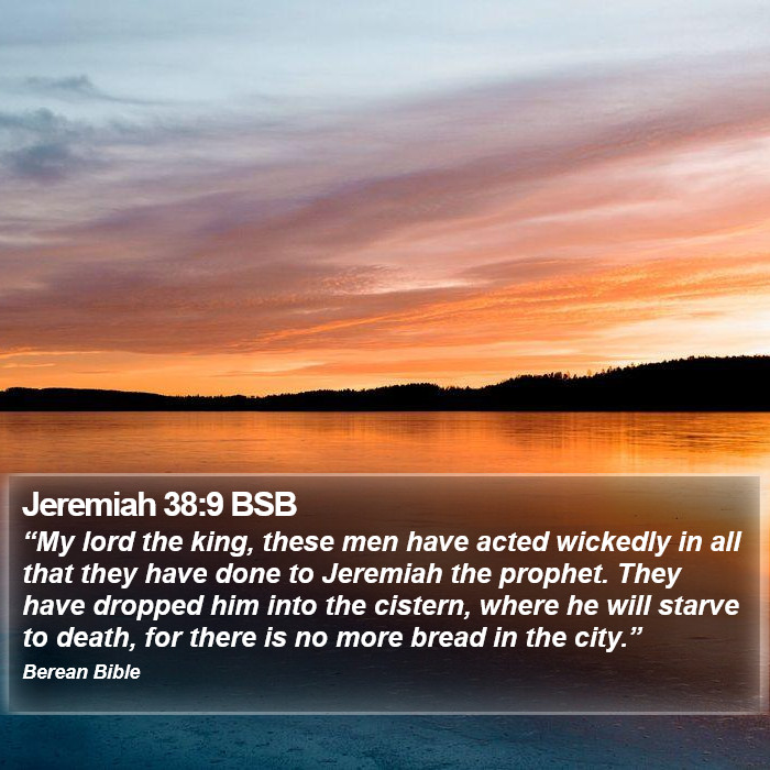 Jeremiah 38:9 BSB Bible Study