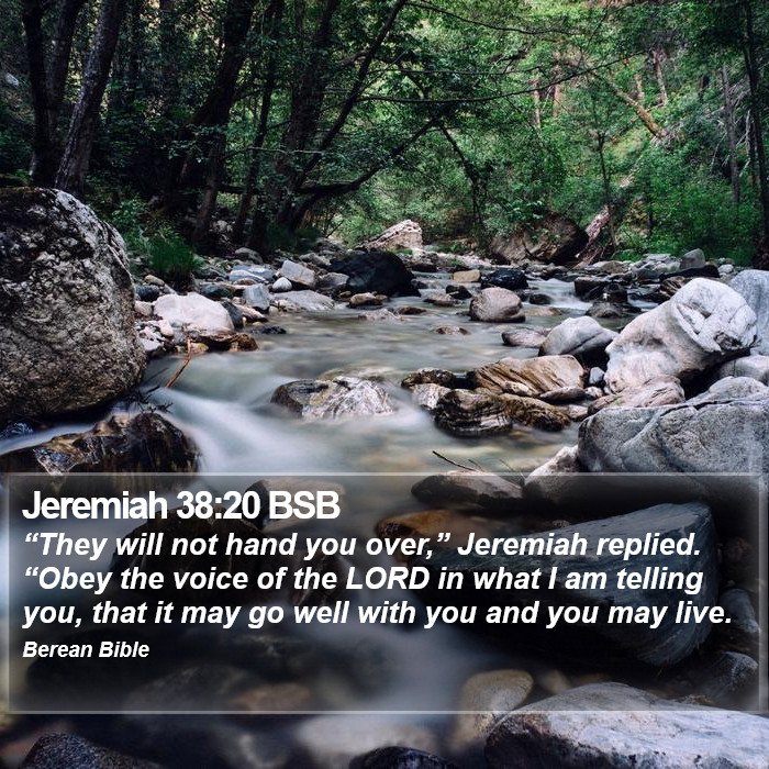 Jeremiah 38:20 BSB Bible Study