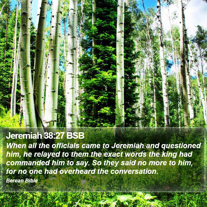 Jeremiah 38:27 BSB Bible Study