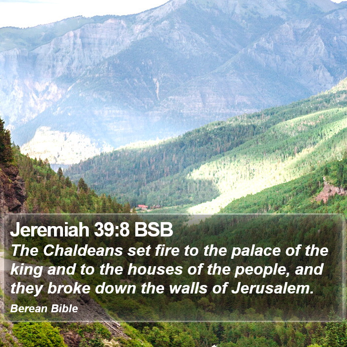 Jeremiah 39:8 BSB Bible Study