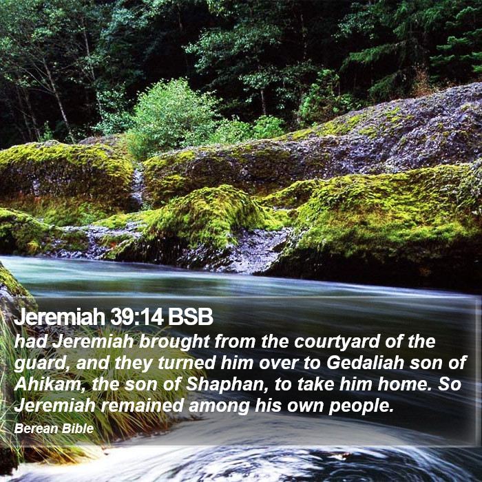 Jeremiah 39:14 BSB Bible Study