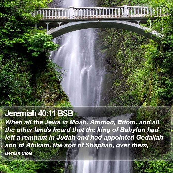 Jeremiah 40:11 BSB Bible Study