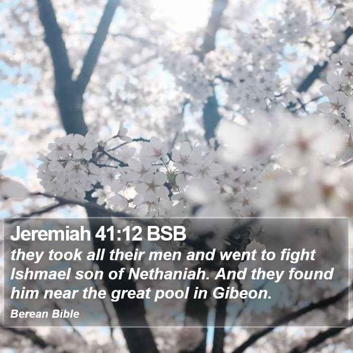 Jeremiah 41:12 BSB Bible Study