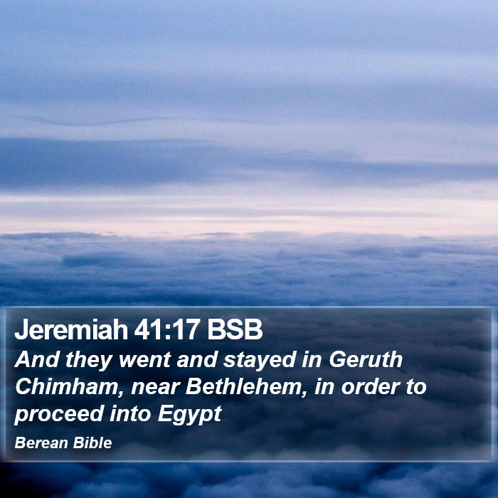 Jeremiah 41:17 BSB Bible Study