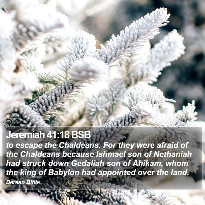 Jeremiah 41:18 BSB Bible Study