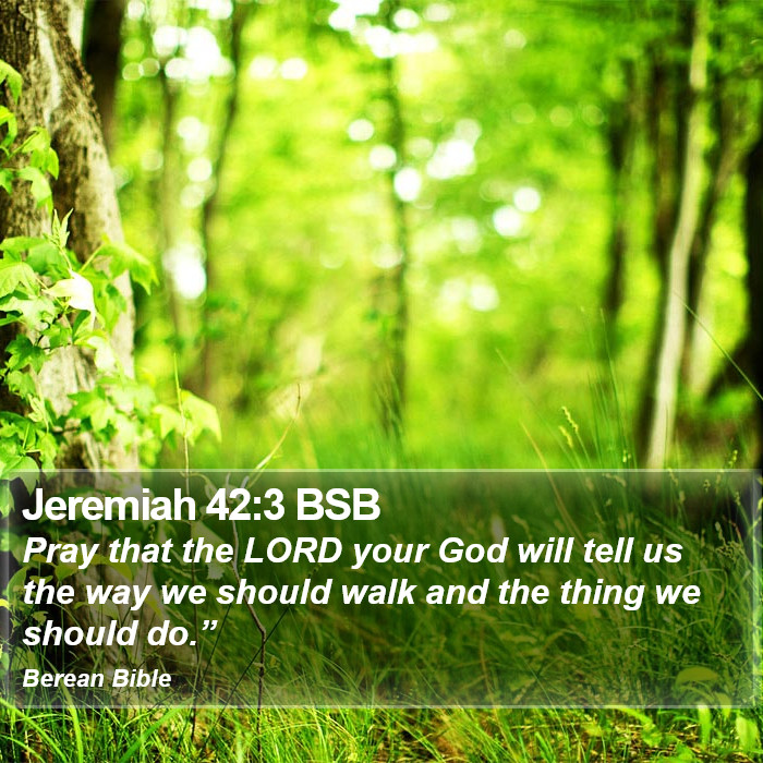 Jeremiah 42:3 BSB Bible Study