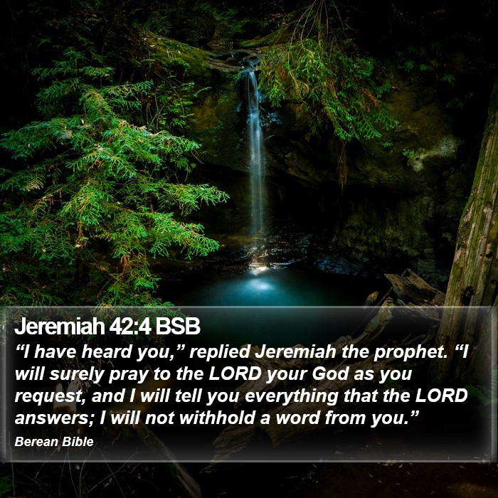 Jeremiah 42:4 BSB Bible Study