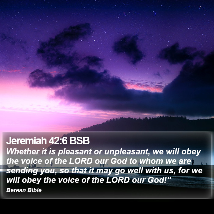 Jeremiah 42:6 BSB Bible Study