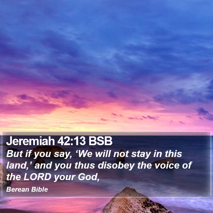 Jeremiah 42:13 BSB Bible Study