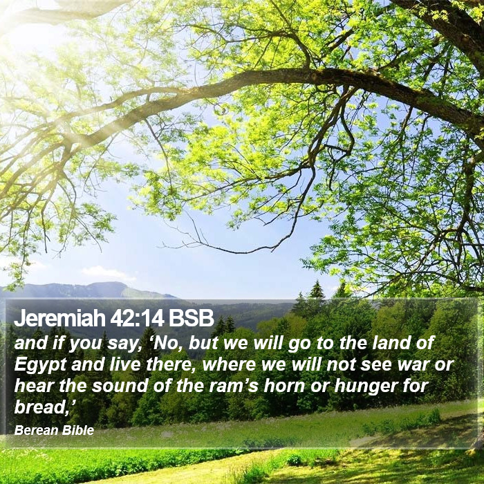 Jeremiah 42:14 BSB Bible Study