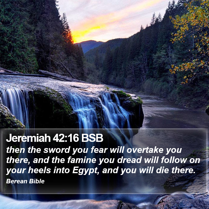 Jeremiah 42:16 BSB Bible Study