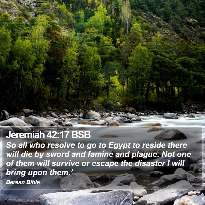 Jeremiah 42:17 BSB Bible Study