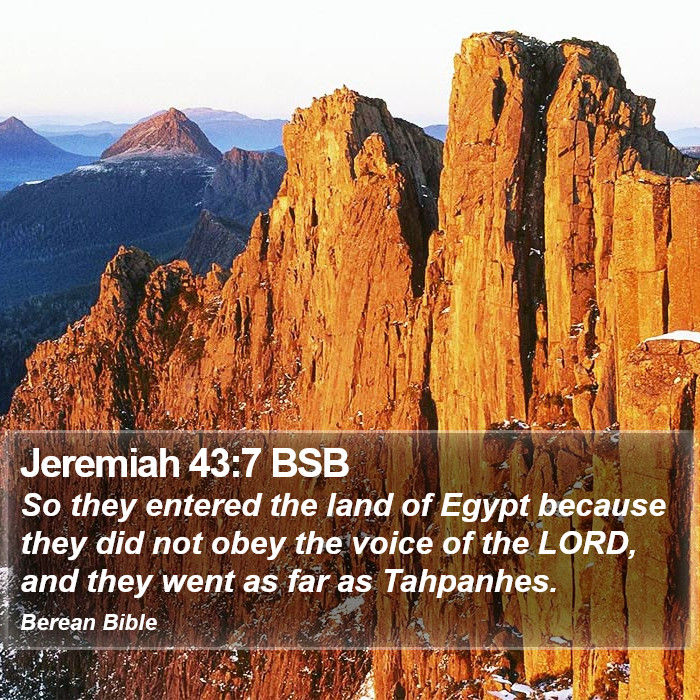 Jeremiah 43:7 BSB Bible Study