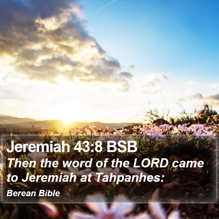 Jeremiah 43:8 BSB Bible Study