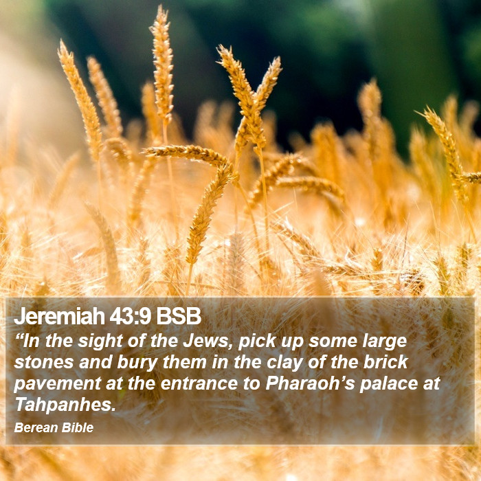 Jeremiah 43:9 BSB Bible Study