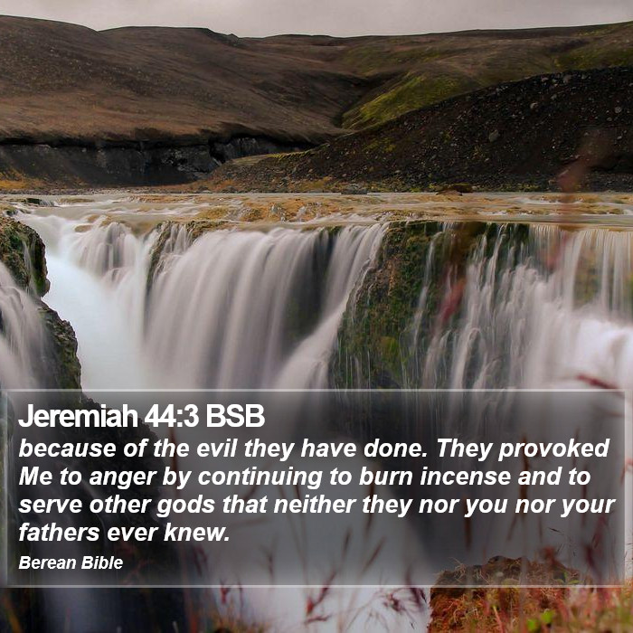 Jeremiah 44:3 BSB Bible Study