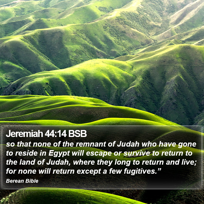 Jeremiah 44:14 BSB Bible Study