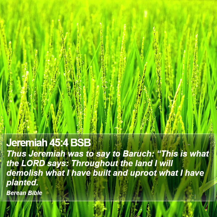 Jeremiah 45:4 BSB Bible Study