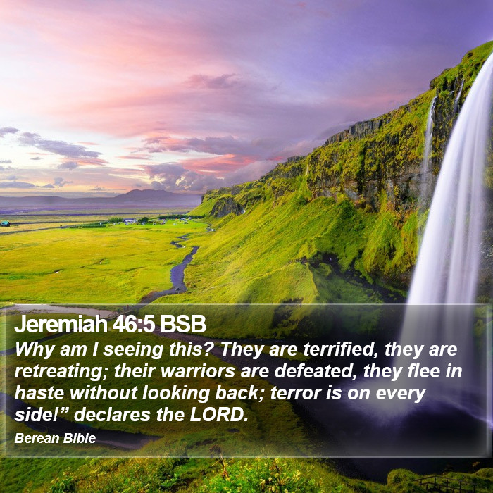 Jeremiah 46:5 BSB Bible Study