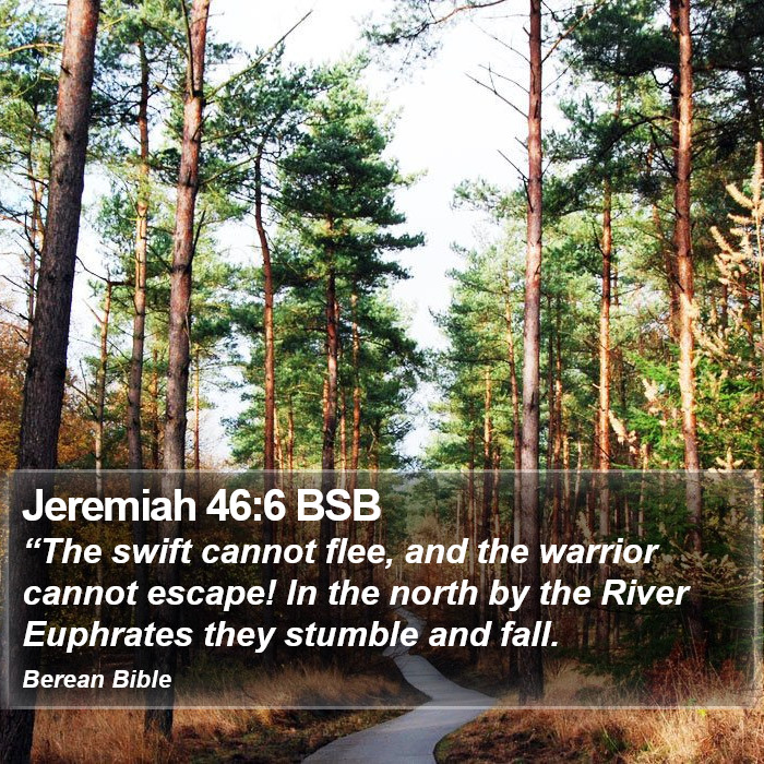 Jeremiah 46:6 BSB Bible Study