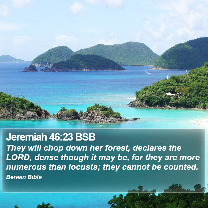 Jeremiah 46:23 BSB Bible Study