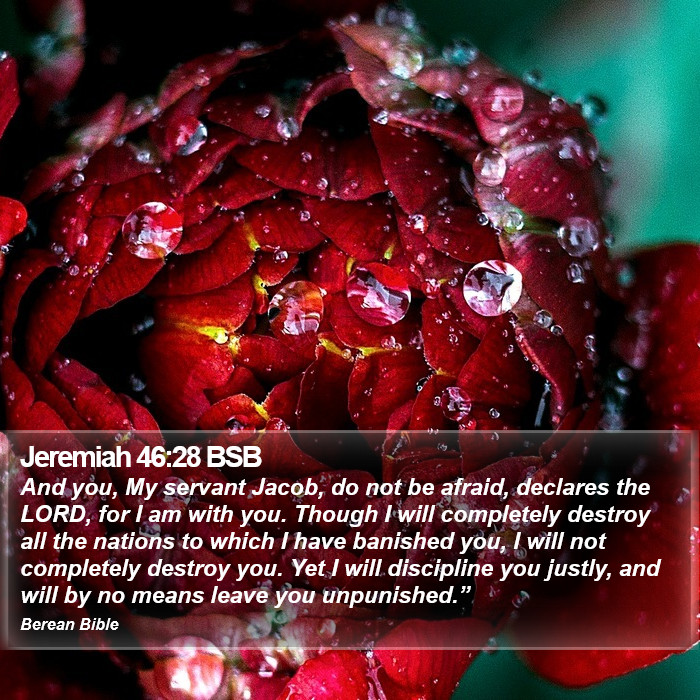 Jeremiah 46:28 BSB Bible Study