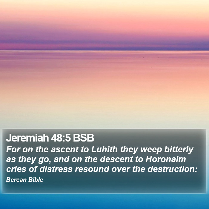 Jeremiah 48:5 BSB Bible Study