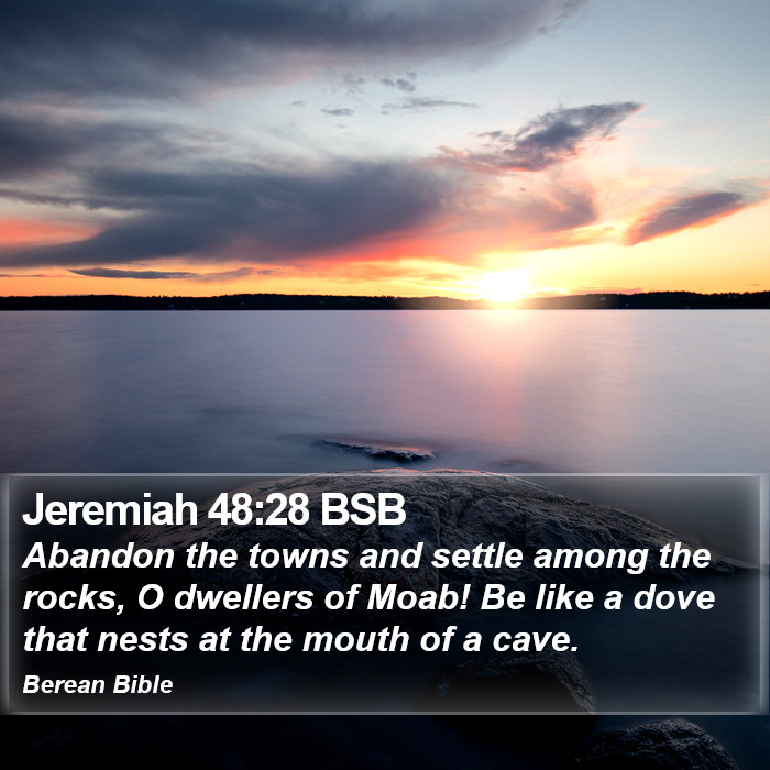 Jeremiah 48:28 BSB Bible Study