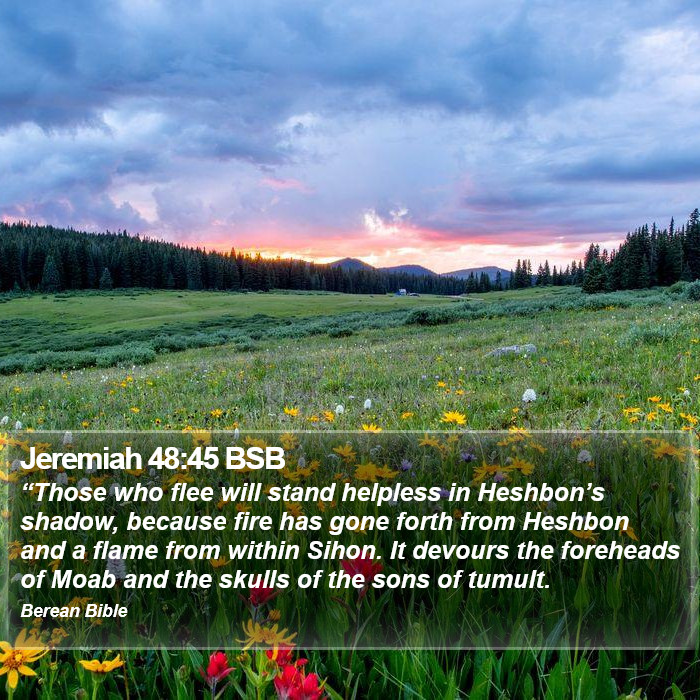 Jeremiah 48:45 BSB Bible Study