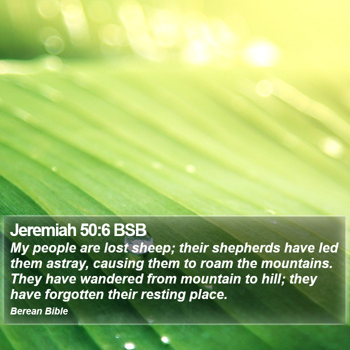 Jeremiah 50:6 BSB Bible Study