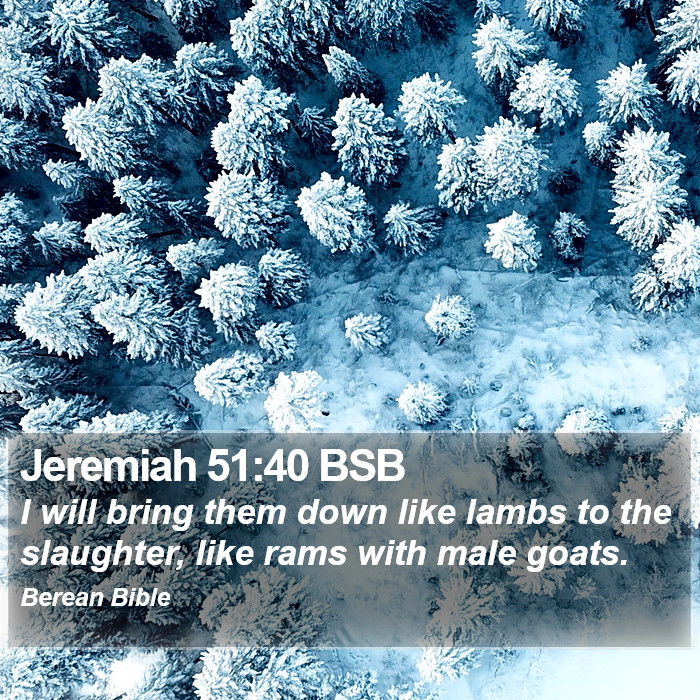 Jeremiah 51:40 BSB Bible Study