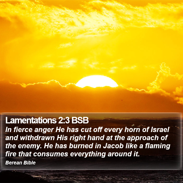 Lamentations 2:3 BSB Bible Study