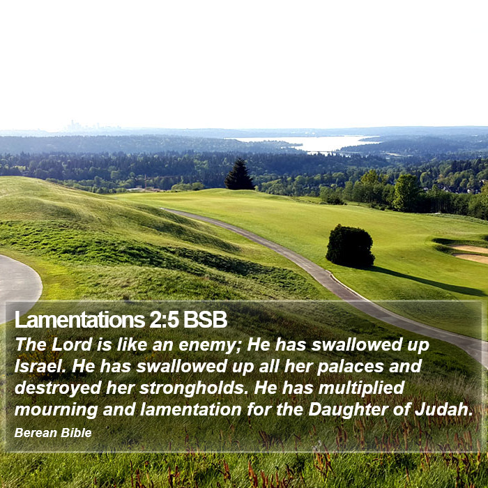 Lamentations 2:5 BSB Bible Study