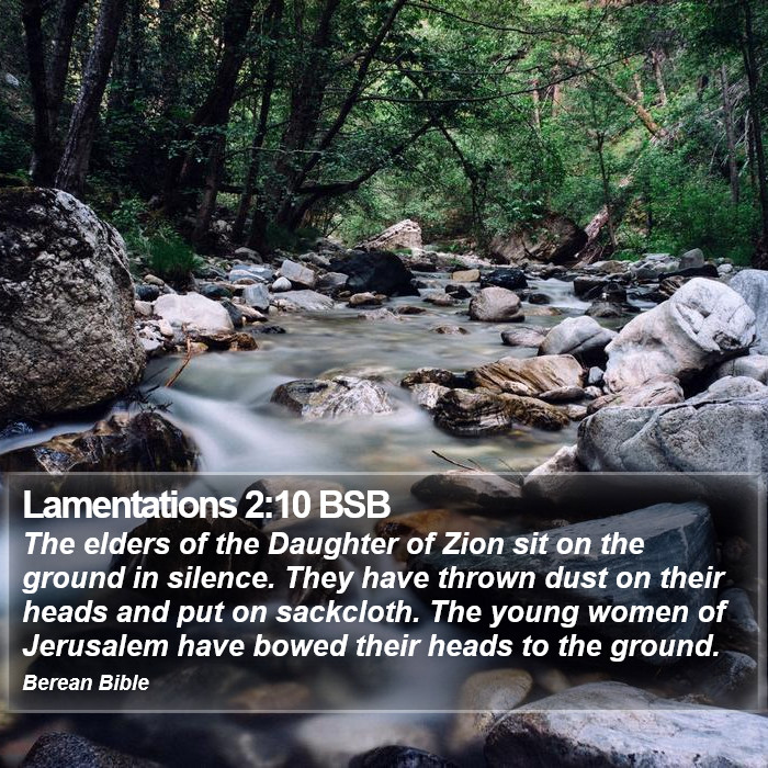 Lamentations 2:10 BSB Bible Study