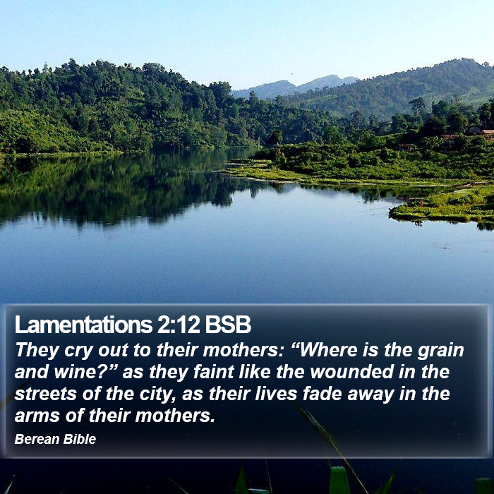 Lamentations 2:12 BSB Bible Study