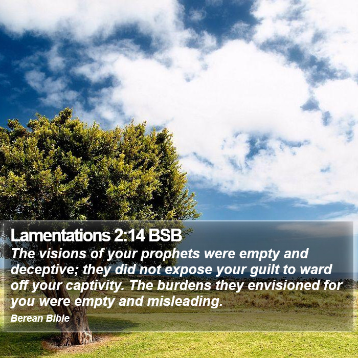 Lamentations 2:14 BSB Bible Study