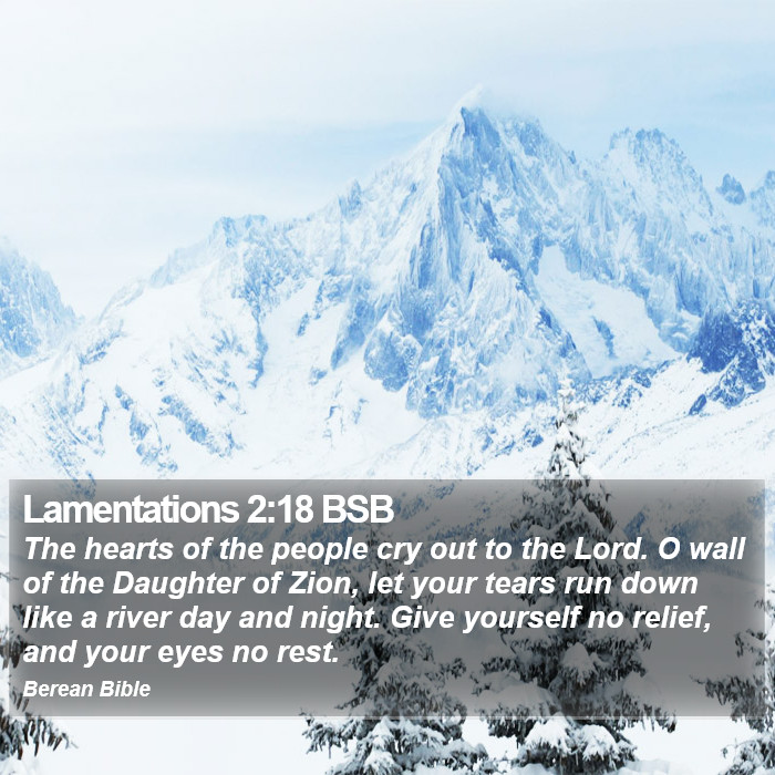 Lamentations 2:18 BSB Bible Study