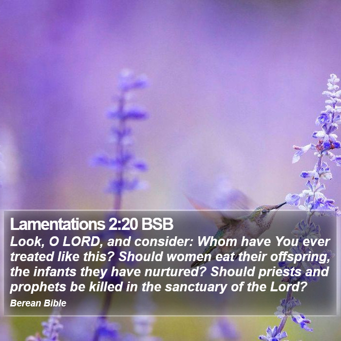 Lamentations 2:20 BSB Bible Study