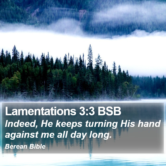 Lamentations 3:3 BSB Bible Study