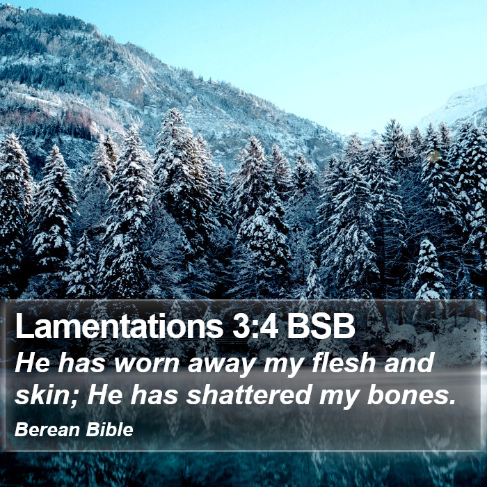 Lamentations 3:4 BSB Bible Study