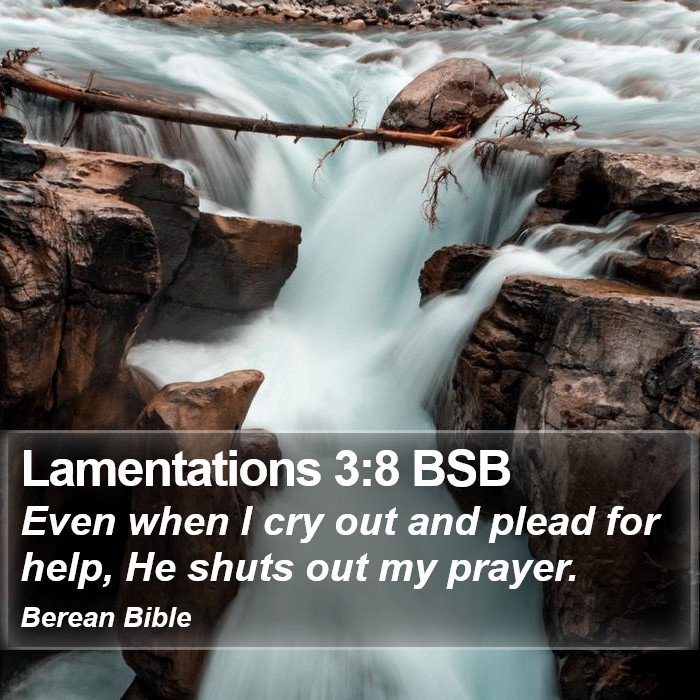 Lamentations 3:8 BSB Bible Study