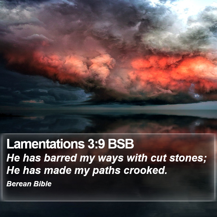 Lamentations 3:9 BSB Bible Study