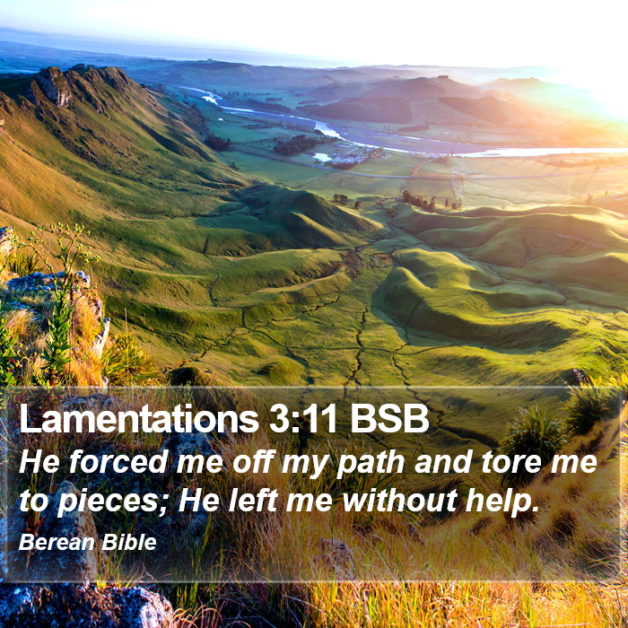 Lamentations 3:11 BSB Bible Study