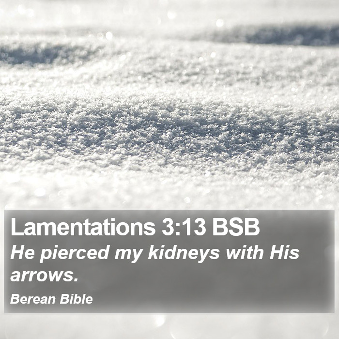 Lamentations 3:13 BSB Bible Study