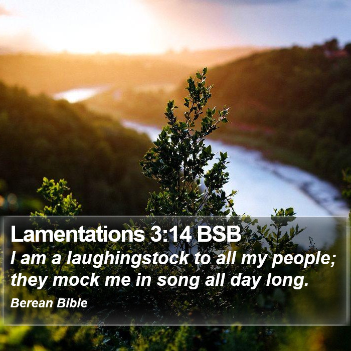 Lamentations 3:14 BSB Bible Study