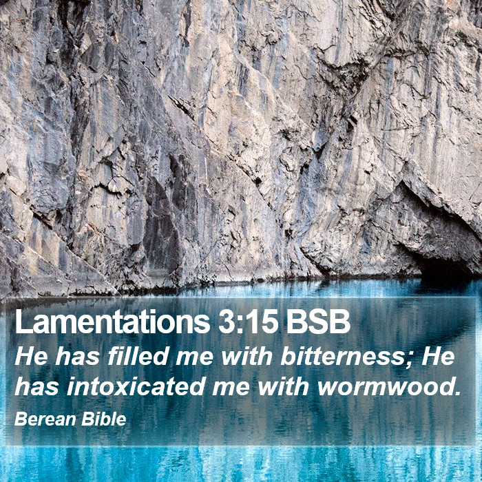 Lamentations 3:15 BSB Bible Study