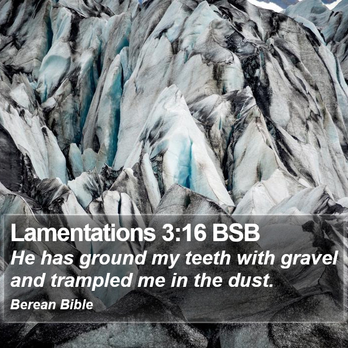 Lamentations 3:16 BSB Bible Study