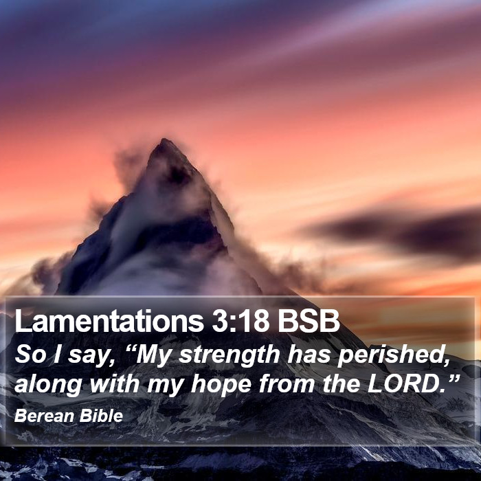 Lamentations 3:18 BSB Bible Study