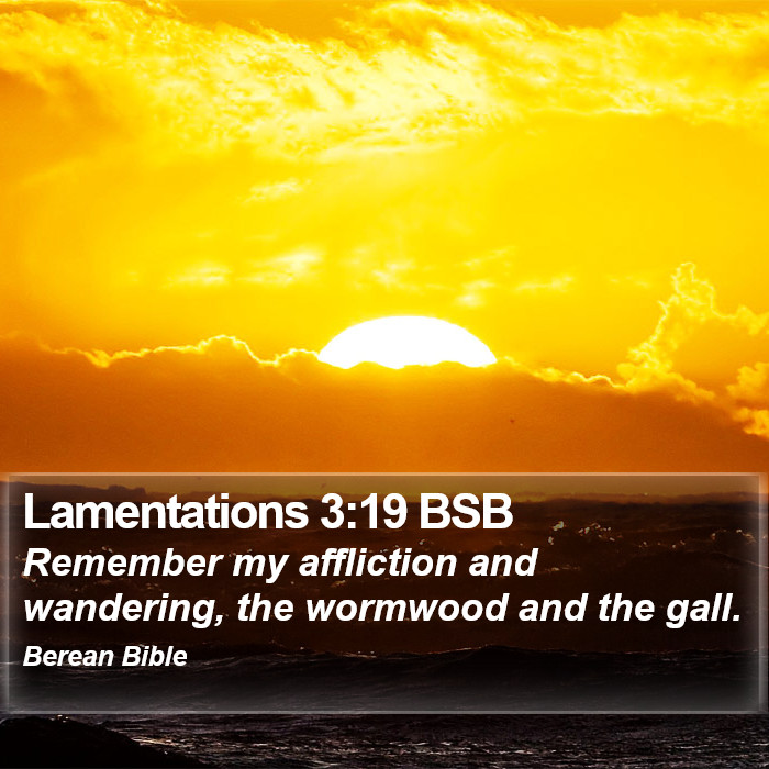 Lamentations 3:19 BSB Bible Study